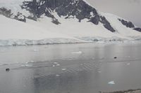 
DSC00098